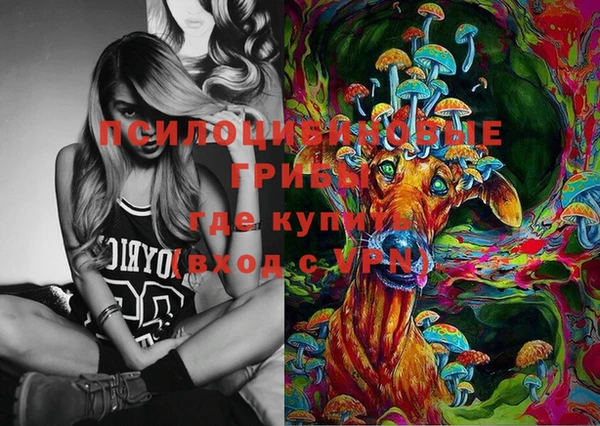 ПСИЛОЦИБИНОВЫЕ ГРИБЫ Елабуга