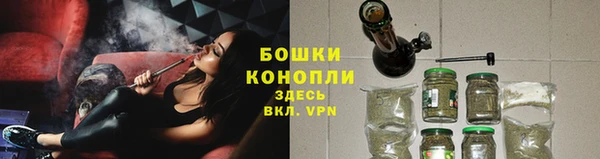 ПСИЛОЦИБИНОВЫЕ ГРИБЫ Елабуга