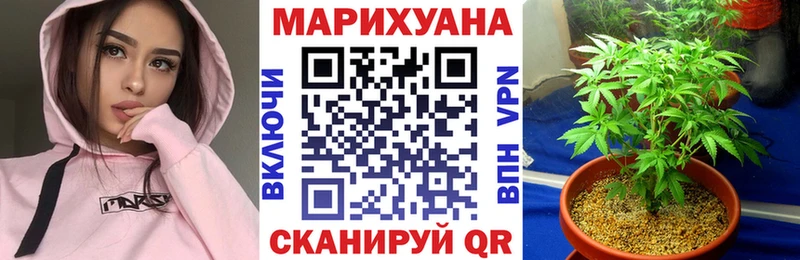 Купить где Дальнереченск Канабис Ganja